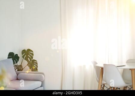 Interni eleganti della sala da pranzo con un tavolo bianco di design, sedie, una pianta nell'angolo, una grande finestra, il concetto di arredamento moderno casa. Foto di alta qualità Foto Stock