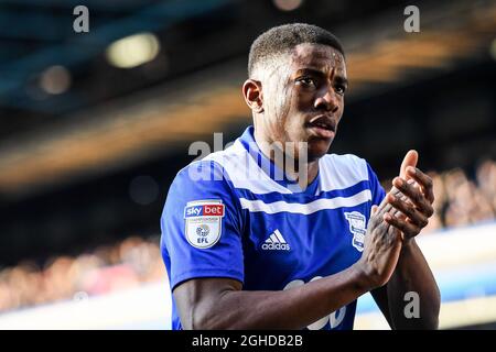 WES Harding di Birmingham City durante la partita del campionato Sky Bet al St Andrew's Trillion Trophy Stadium di Birmingham. Data foto: 2 febbraio 2019. Il credito dell'immagine dovrebbe leggere: Harry Marshall/Sportimage via PA Images Foto Stock