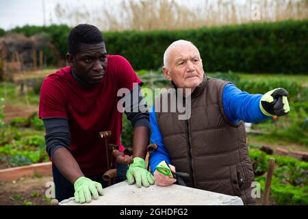 Un giardiniere anziano preoccupato che discute di qualche problema con il suo vicino afroamericano in orto il giorno di primavera Foto Stock