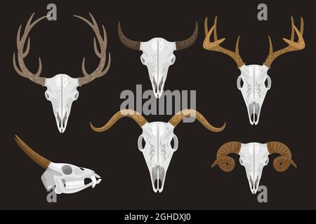 Collezione di teschi con corna di animali diversi Illustrazione Vettoriale