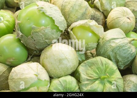 Tomatillos - primo piano Foto Stock