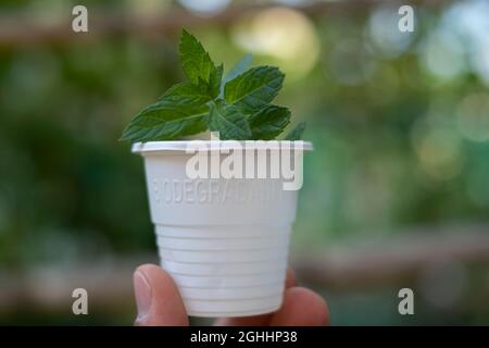 Vetro plastico biodegradabile ecologico, imballaggio ecologico Foto Stock