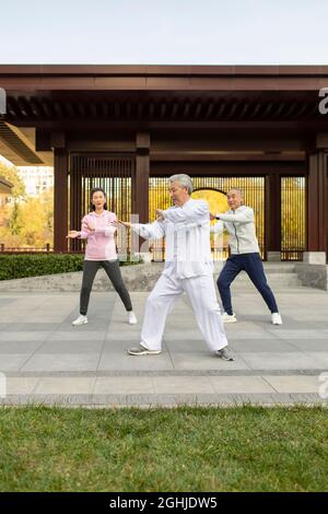 Adulto allegro che pratica Tai Chi nel parco Foto Stock