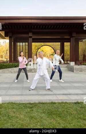 Adulto allegro che pratica Tai Chi nel parco Foto Stock