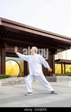 Uomo anziano allegro che pratica Tai Chi nel parco Foto Stock