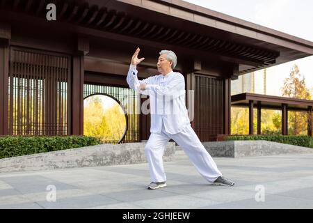 Uomo anziano allegro che pratica Tai Chi nel parco Foto Stock