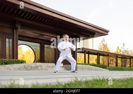 Uomo anziano allegro che pratica Tai Chi nel parco Foto Stock