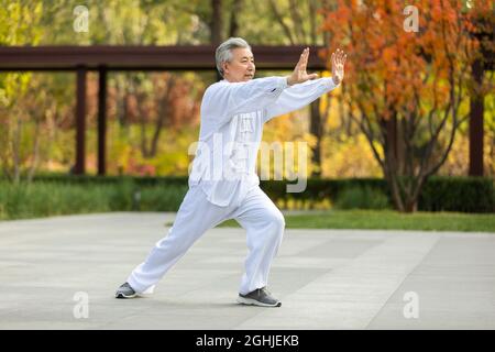 Uomo anziano allegro che pratica Tai Chi nel parco Foto Stock