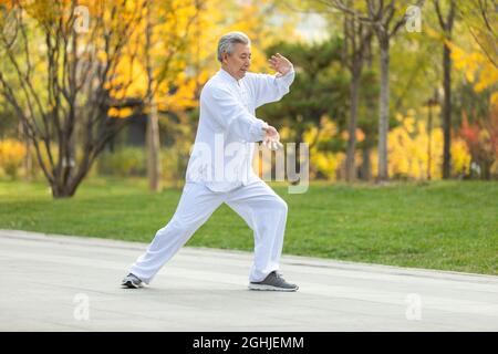 Uomo anziano allegro che pratica Tai Chi nel parco Foto Stock