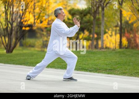 Uomo anziano allegro che pratica Tai Chi nel parco Foto Stock