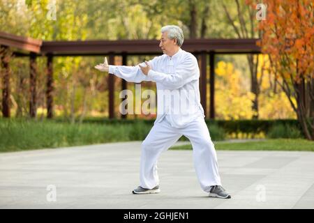 Uomo anziano allegro che pratica Tai Chi nel parco Foto Stock