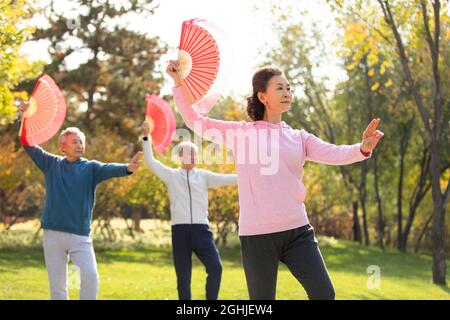 Adulto anziano che pratica Tai Chi nel parco Foto Stock