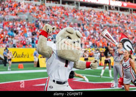 Charlotte, NC, Stati Uniti. 4 settembre 2021. Georgia Bulldogs mascotte Hairy Dog prima del Duke's Mayo Classic 2021 presso Bank of America Stadium a Charlotte, NC. (Scott Kinser/Cal Sport Media). Credit: csm/Alamy Live News Foto Stock