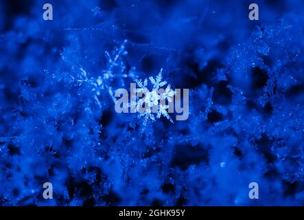 Blue Snowflake Flurry Real Life Foto Stock