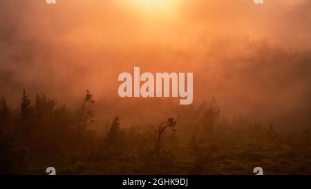 Suggestiva alba nella montagna di Cozia, in Romania Foto Stock