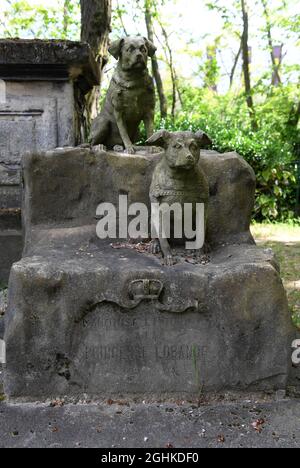 La tomba di 'Marquise' e 'Tony' i due cani della principessa Lobanof nel 'Cimetiere des Chiens'in Asnieres-sur-Seine alla periferia di Parigi, Francia il 2021 maggio. Il 'Cimitero dei cani e di altri animali domestici' parigino si dice essere il più antico cimitero pubblico del mondo per animali domestici. Le 'Cimetiere des Chiens' è un lungo e stretto cimitero con attraenti giardini paesaggistici che si affacciano sulla Senna. Le file ordinatamente disposte di tombe includono lapidi e altri monumenti dalla fine del 19 ° secolo ai giorni nostri, molti con statue o foto di amati animali domestici. Il cimitero deve i suoi inizi ad un l Foto Stock