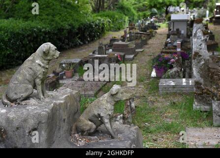La tomba di 'Marquise' e 'Tony' i due cani della principessa Lobanof nel 'Cimetiere des Chiens'in Asnieres-sur-Seine alla periferia di Parigi, Francia il 2021 maggio. Il 'Cimitero dei cani e di altri animali domestici' parigino si dice essere il più antico cimitero pubblico del mondo per animali domestici. Le 'Cimetiere des Chiens' è un lungo e stretto cimitero con attraenti giardini paesaggistici che si affacciano sulla Senna. Le file ordinatamente disposte di tombe includono lapidi e altri monumenti dalla fine del 19 ° secolo ai giorni nostri, molti con statue o foto di amati animali domestici. Il cimitero deve i suoi inizi ad un l Foto Stock