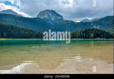 Lago Nero (Crno Jezero) nel Parco Nacional Durmitor. Zabljak location, Montenegro Foto Stock