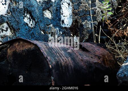 Bidón de metal deteriorado, en balsa de alquitrán y terreno contaminado Foto Stock