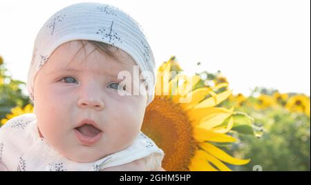 ritratto di un bel bambino, una ragazza di cinque mesi nel campo di sfondo girasoli. Foto Stock