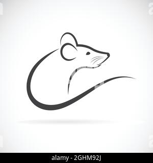 Vettore di un disegno di ratto su sfondo bianco. Illustrazione vettoriale a livelli facilmente modificabile. Animali selvatici. Illustrazione Vettoriale