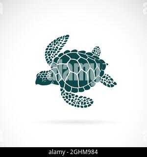 Vettore di disegno tartaruga su sfondo bianco. Animali selvatici. Animale subacqueo. Icona o logo tartaruga. Illustrazione vettoriale a livelli facilmente modificabile. Illustrazione Vettoriale