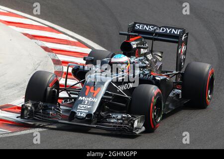 Fernando Alonso (ESP) McLaren MP4-31. 23.07.2016. Formula 1 World Championship, Rd 11, Gran Premio d'Ungheria, Budapest, Ungheria, Giorno di qualificazione. Il credito fotografico dovrebbe essere: XPB/Press Association Images. Foto Stock