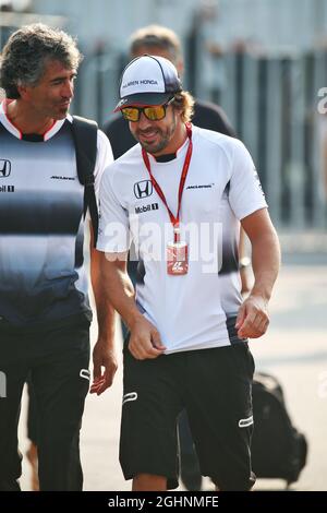 Fernando Alonso (ESP) McLaren con Edoardo Bendinelli (ITA) Personal Trainer. 03.09.2016. Campionato del mondo formula 1, Rd 14, Gran Premio d'Italia, Monza, Italia, Giorno di qualificazione. Il credito fotografico dovrebbe essere: XPB/Press Association Images. Foto Stock