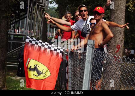 Fan Ferrari. 03.09.2016. Campionato del mondo formula 1, Rd 14, Gran Premio d'Italia, Monza, Italia, Giorno di qualificazione. Il credito fotografico dovrebbe essere: XPB/Press Association Images. Foto Stock