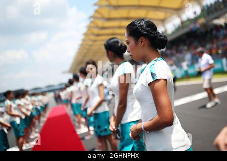 Grid ragazze sulla sfilata dei piloti. 02.10.2016. Formula 1 World Championship, Rd 16, Gran Premio della Malesia, Sepang, Malesia, Domenica. Il credito fotografico dovrebbe essere: XPB/Press Association Images. Foto Stock