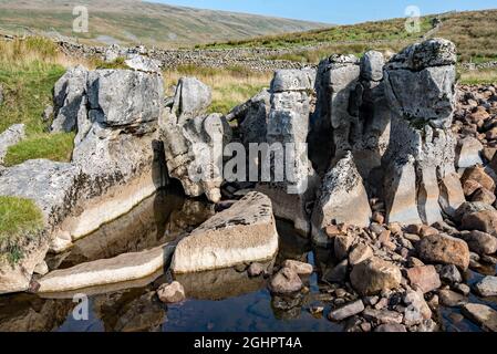 Winterscale beck è sotto le pendici di Whernside. Il becco era ad acqua molto bassa esponendo pilastri di pietra e un letto di macigno. Foto Stock