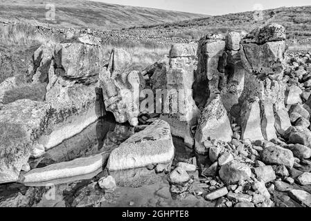 Winterscale beck è sotto le pendici di Whernside. Il becco era ad acqua molto bassa esponendo pilastri di pietra e un letto di macigno. Foto Stock