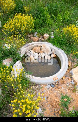 Acque di riproduzione anfibiche create nell'area protetta, paesaggio successivo in ex cava, progetto di vita UE Stepping pietra biotopi anfibi Foto Stock