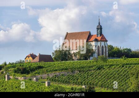 Chiesa tardo-gotica di pellegrinaggio Maria im Weingarten, Volkach, Mainfranken, bassa Franconia, Franconia, Baviera, Germania Foto Stock