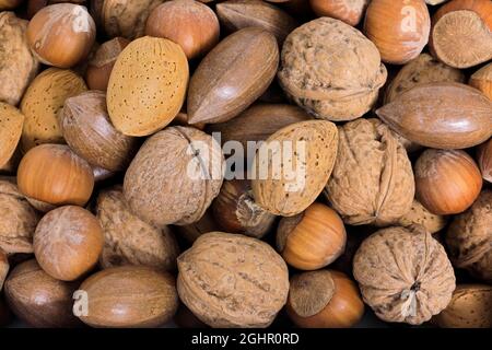 Noci, mix, mandorla (Prunus dulcis), nocciola comune (Corylus avellana), noce persiana (Juglans regia), Pecans (Carya illinoinensis), frutta, noci Foto Stock