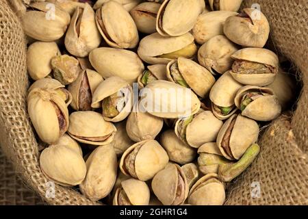 Pistacchio (Pistacia vera), frutta, noci, con guscio, senza pelatura, Germania Foto Stock