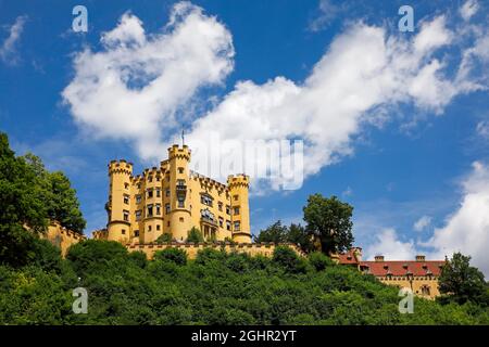 Hohenschwangau Castello, Schwangau, Koenigswinkel, strada romantica, East Allgaeu, Allgaeu, Swabia, Baviera, Germania Foto Stock