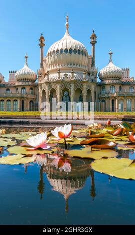 Royal Pavilion palazzo riflesso in uno stagno con ninfee, Brighton, East Sussex, Inghilterra, Regno Unito Foto Stock