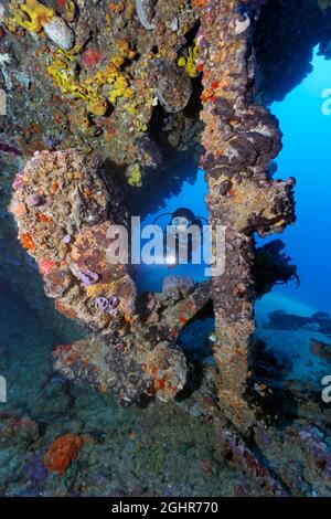 Subacqueo che guarda elica e timone dal relitto della Virgen de Altagracia, naufragio, Mar dei Caraibi vicino a Playa St Lucia, Camagueey Provincia Foto Stock