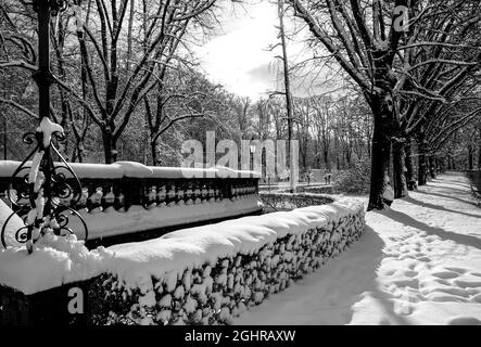 Prinzregent-Luitpold-Terrasse nella Maximiliansanlagen, nevoso in inverno, Monaco di Baviera, alta Baviera, Baviera, Germania Foto Stock