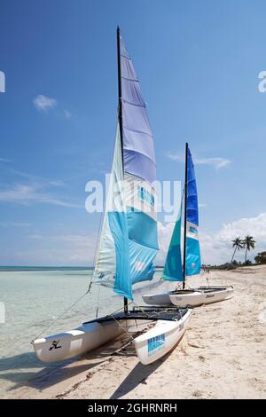 Spiaggia sabbiosa con due catamarani, vele blu, barche a vela, iscrizione Marlin Nautica y Marinas, Hobie Cat, laguna, Hotel Brisas, Playa St. Lucia Foto Stock