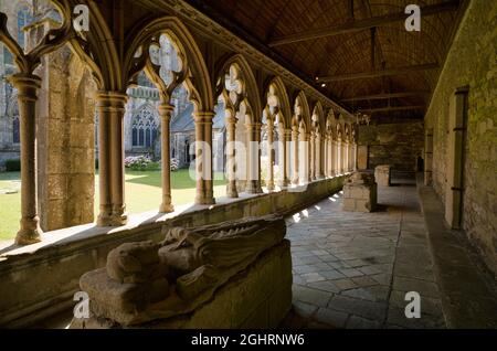 Chiostro del Duomo, Basilka Saint-Tugdual, Treguier, Cotes-d'Armor, Bretagna, Francia Foto Stock