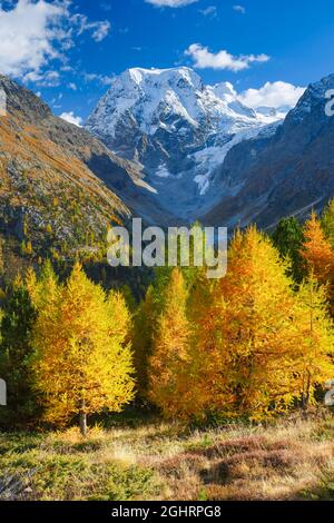 Monte Collon, Arolatal, Vallese Svizzera Foto Stock