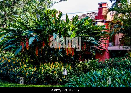 Città coloniale con cortili imponenti, Antigua, Antigua, Guatemala Foto Stock