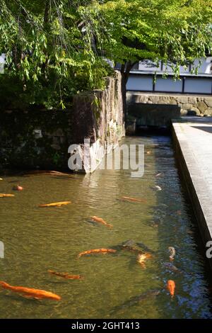 Hida-furukawa, gifu, Giappone Foto Stock