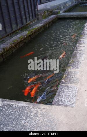 Hida-furukawa, gifu, Giappone Foto Stock