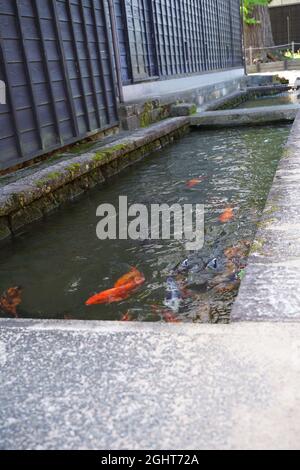 Hida-furukawa, gifu, Giappone Foto Stock