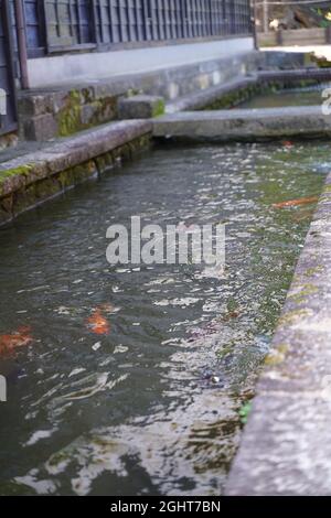 Hida-furukawa, gifu, Giappone Foto Stock
