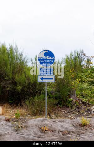 Tsunami evacuazione Route autostrada strada segno Vancouver Island British Columbia. Foto Stock