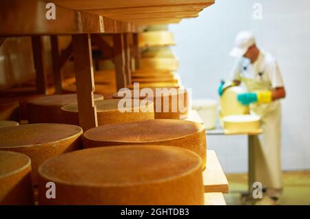 Un dipendente del caseificio lubrifica la testa del formaggio. Foto Stock